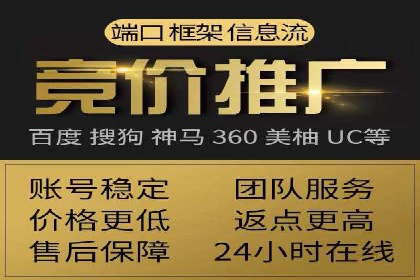 百度竞价代运营公司成功案例揭秘：策略与执行